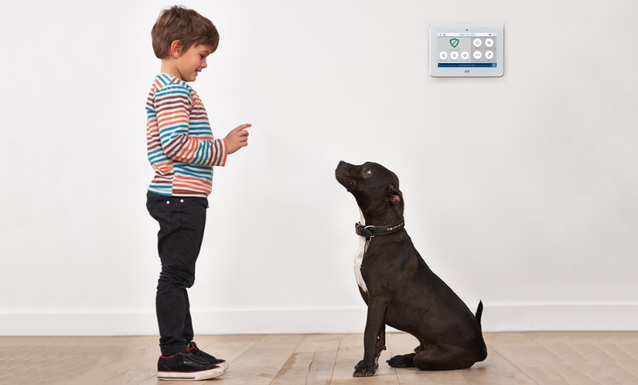 Lansdowne security systems