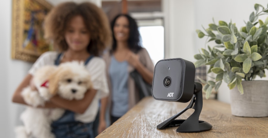 Indoor security cameras in Philadelphia 